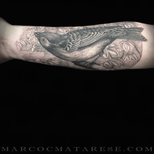 marcocmatarese:#marcocmatarese #marcomatarese #tattoo #milan #tatuaggio #etching #engriving #blackli
