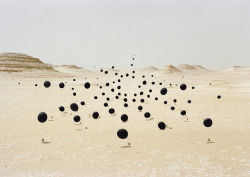 gramigna:  Andrea Galvani © 2006-2008, Death