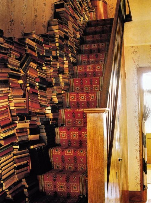In A Castle S Library In A Castle S Library