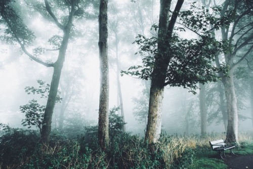 dpcphotography:Foggy Graves Park