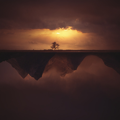 Freedom by John35Photography