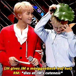hobies:“he’s so cute I could just eat him up” -namjoon, probably (trans)