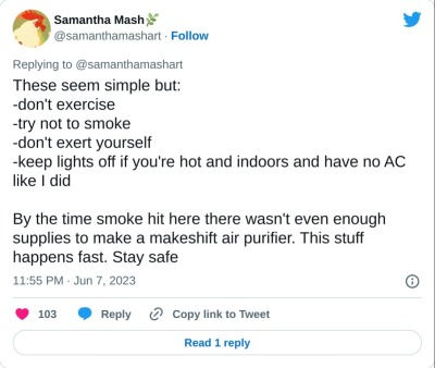 These seem simple but:
-don't exercise
-try not to smoke
-don't exert yourself
-keep lights off if you're hot and indoors and have no AC like I did

By the time smoke hit here there wasn't even enough supplies to make a makeshift air purifier. This stuff happens fast. Stay safe

— Samantha Mash🌿 (@samanthamashart) June 7, 2023