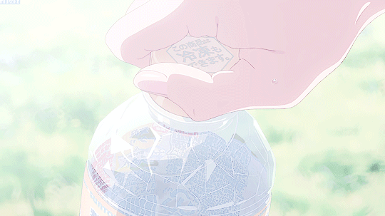 wishes + dreams