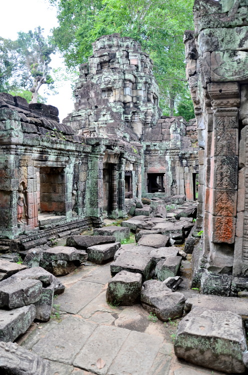 Preah Khan - The Temple of the “Royal Sword” - Angkor, Cambodia