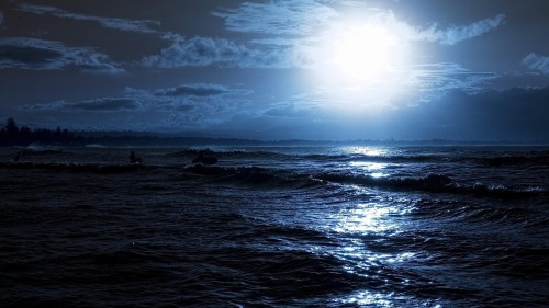 sometimes i see photographs like this and can’t believe they’re real