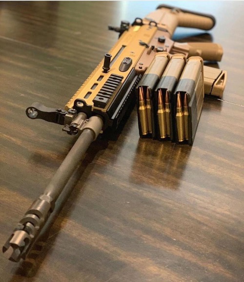 scar 17