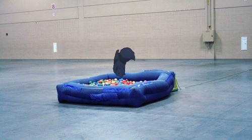 levirusclearlytripping:  aobadong:  aobadong:  aobadong:  aobadong:  aobadong:  aobadong:  aobadong:  aobadong:  aobadong:   ren just got another hour in the ball pit   meet me in the ball pit aoba-san   where are you clear    AOBA   mynk   bye bye noiz