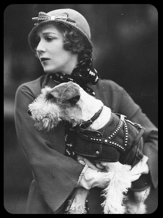 Mary Pickford with Wire Fox Terrier 