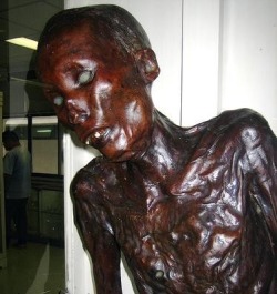 congenitaldisease:This is the mummified corpse of Si Quey, the most famous serial killer of Thai history. His corpse is on display at the Museum of Forensic Medicine Niyomsane Songkran. Si Quey was a Chinese immigrant who moved to Thailand in 1944. Si