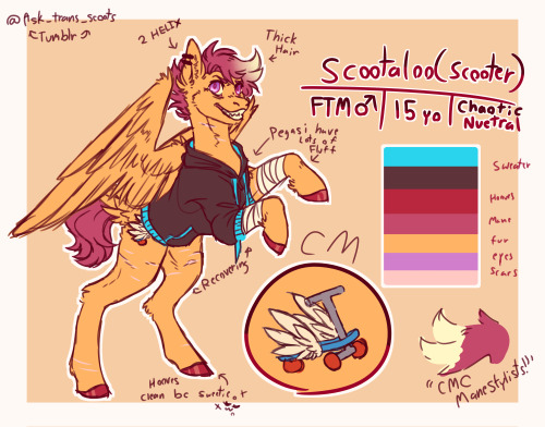 Ask&rsquo;s will be back soon!!For now here is a long overdue Scootealoo Ref