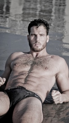 hairyhotman:  http://hairyhotman.tumblr.com/