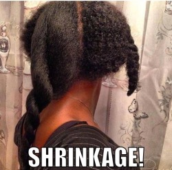 willychxn:  lankthagod:trebled-negrita-princess:thecouscousking:braidedkinks:SHRINKAGE!!!  Curly and coarse headed people don’t need to explain themselves to no one.  sure the fuck DON’T   Black women are so special  👏🏾👏🏾👏🏾👏🏾