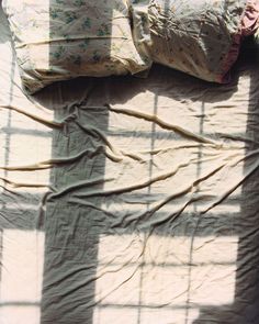 quite-a-classic:Tammy Rae Carland, Lesbian Beds, 2002