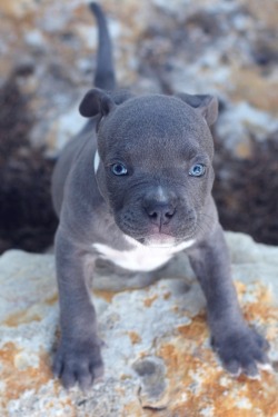 motivationsforlife:  BLUE PIT by  Lethol Ter