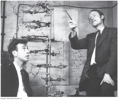 February 28th 1953: Watson and Crick discover DNA structureOn this day in 1953, scientists James D. 