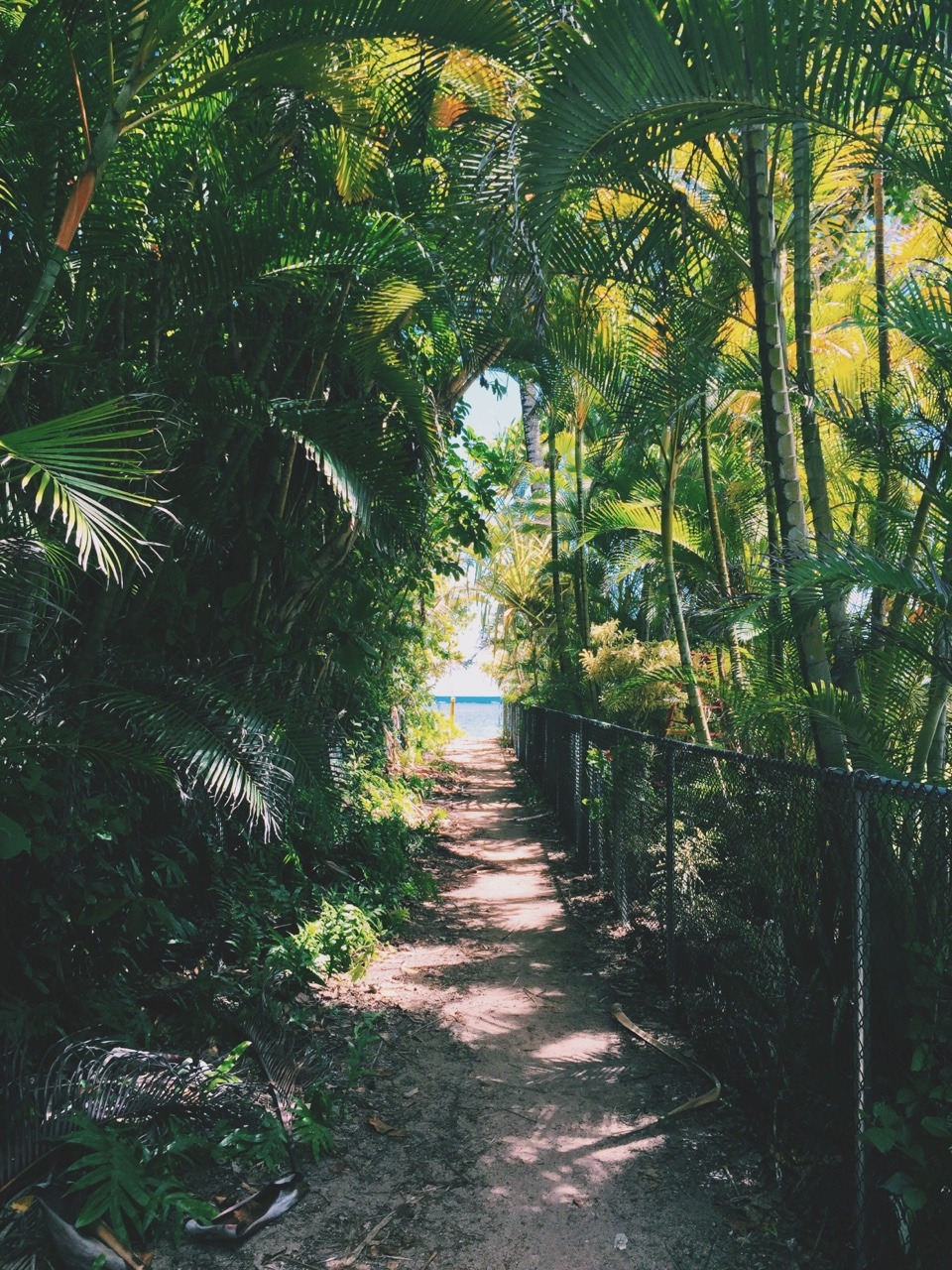 dadvillainy:  secret beach.