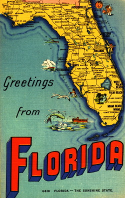 smilewithfloridamemory:   Greetings from Florida!  