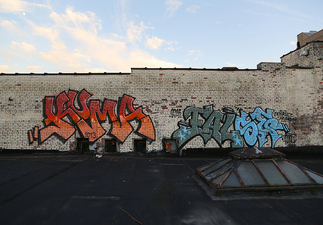 seemor:  Kuma False by carnagenyc on Flickr. 