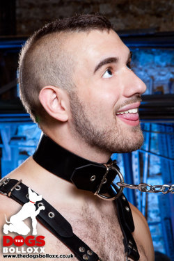 wearethedogsbolloxx:  Rubber Collar - Pet on a Budget For those who like it simple but effective we bring you our new POB Rubber Collar. Full 2 inch wide with a nice thick n heavy d-ring to attach leads, tags, chains and so on. Keep it WRUFF! Available