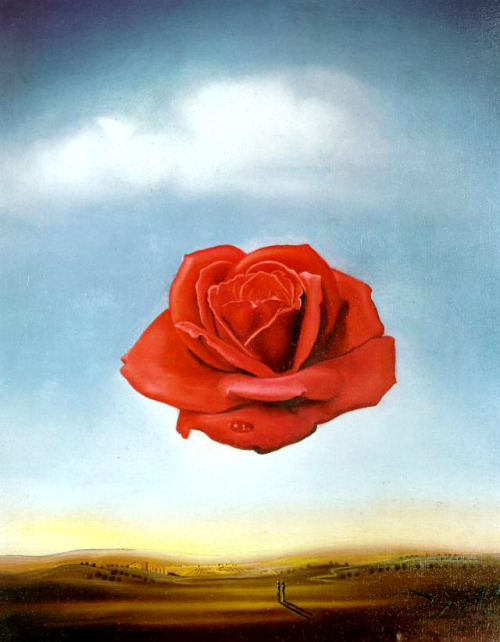 dappledwithshadow:  Art Comparison: Salvador Dalí - The Meditative Rose, 1958.René Magritte - The Tomb of the Wrestlers, 1960. 