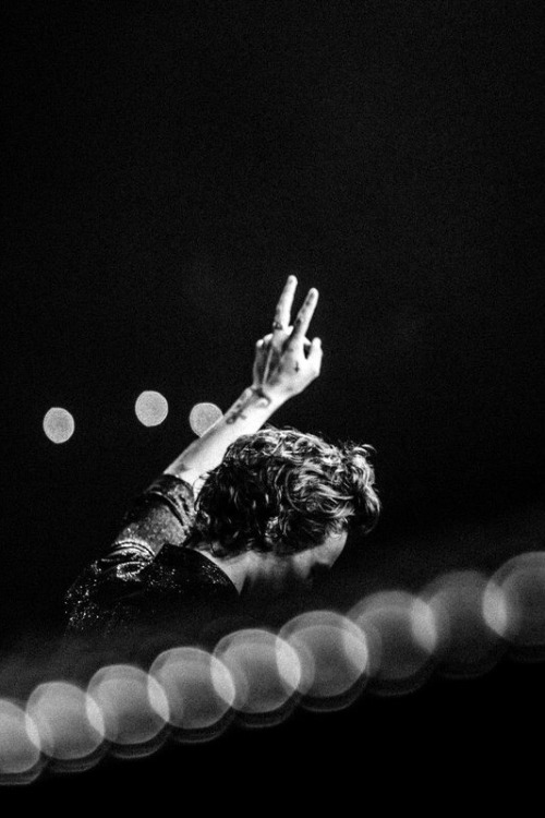 buzzingingucci:Harry Styles: Live on Tour, Seattle//07.07.18