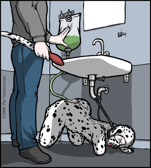 paddedtails:  The proper way to clean out your naughty puppy! Mmmm mmm wruffs Art by : The Veterinarian - http://veterinarian.deviantart.com