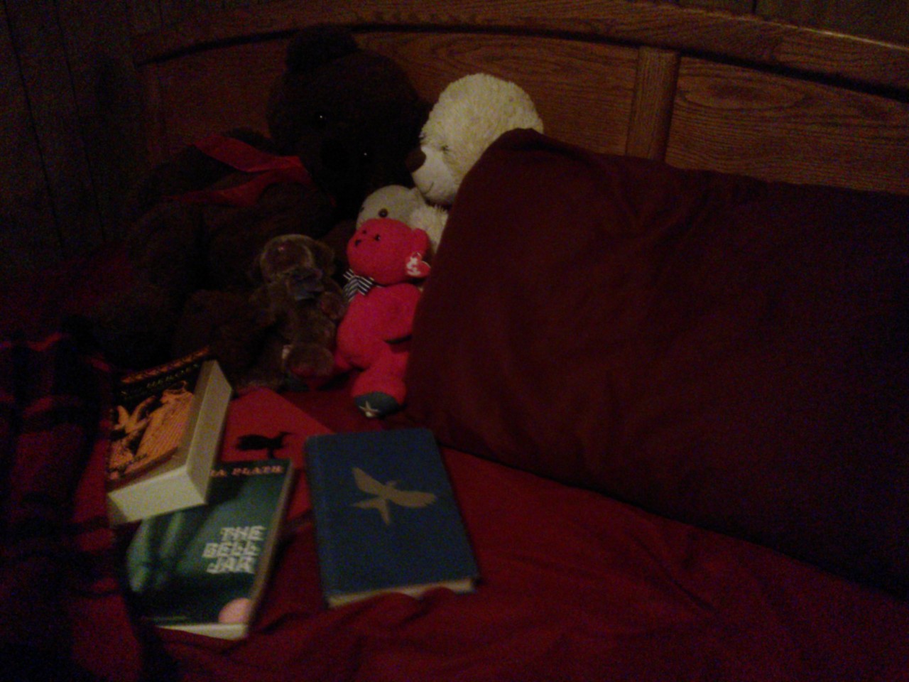 How i&rsquo;m sleeping tonight. I could&rsquo;ve sworn I had more bears from