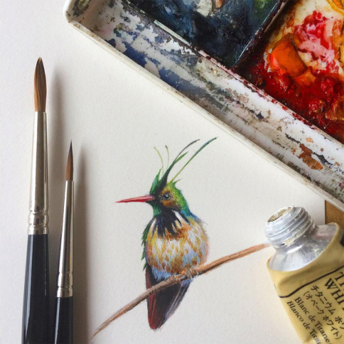 itscolossal:Bird by Bird: Miniature Bird Paintings by Dina Brodsky