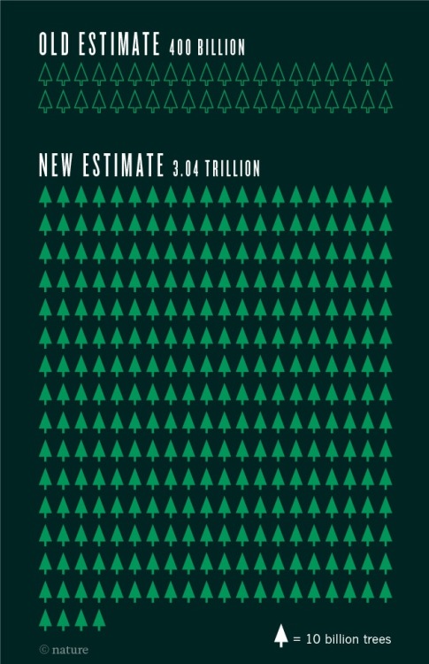 currentsinbiology:Trillions of treesThree trillion: the latest estimate of the planet’s tree populat