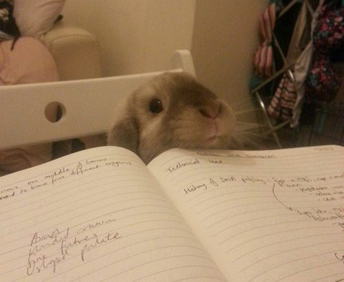 Porn timetravelanddonuts:  Bunnies object to studying photos