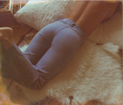 DANA TRIPPE