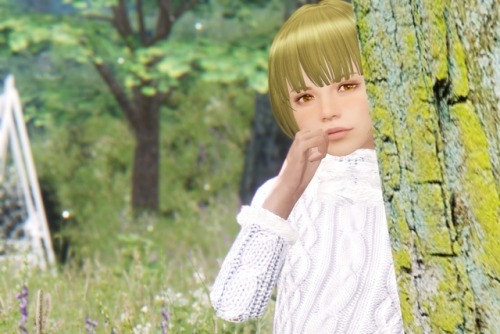 rin0507sky:  Follower SIza v1.0    @kikireco  かわいくてもう・・・。