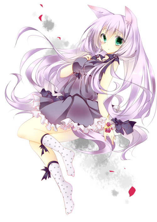 A Catgirl Is Fine Too
