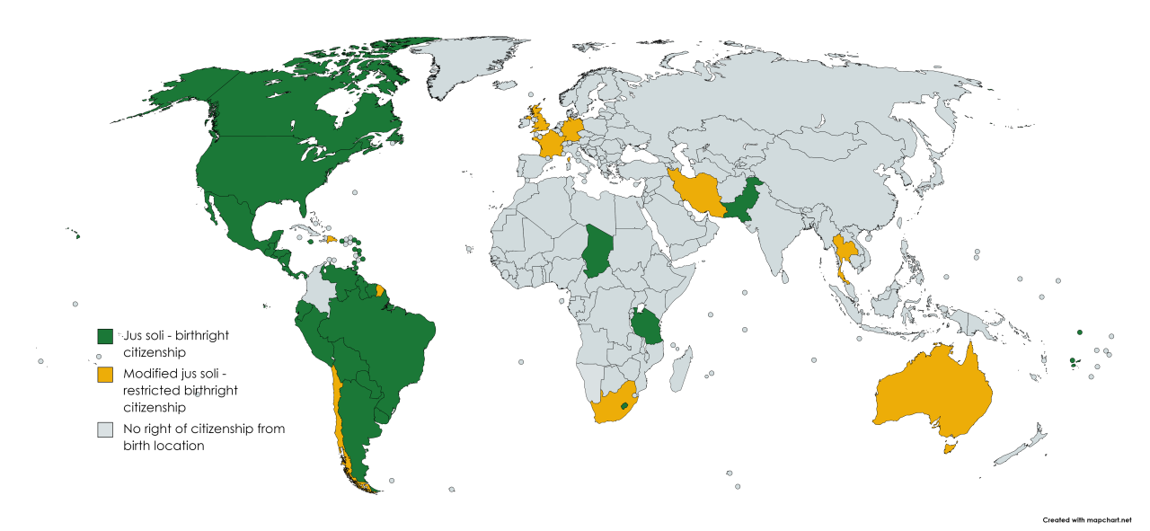 Citizen of country. Dual Citizenship Map. Множественное гражданство карта. Бипатриды карта. Countries that allow Dual Citizenship.