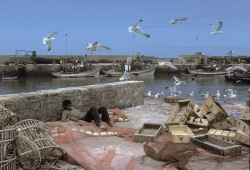 aaalgerian:MOROCCO. Essaouira. 1988. In the