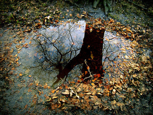 Lorenzens-Soil