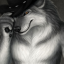 coolestwerewolf