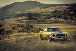 lostandfound82:  1969 Ford Mustang Boss 302