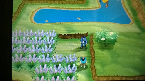 allkindsoffuck:iheartnintendomucho:This glitchy version of Pokemon X will haunt your dreamsGamingPry