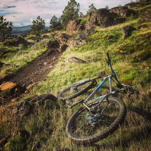 stumptownrider: This place never gets old #reebme #29er #mountainbiking #mtb #snycline #tyreeb #myre