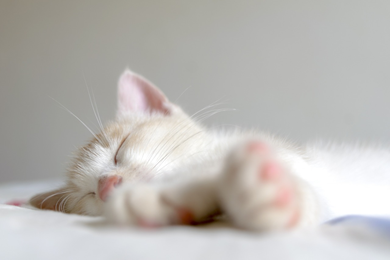 llbwwb:  Sweet dreams :) (via Soninho merecido by Thiago Marques / 500px) 