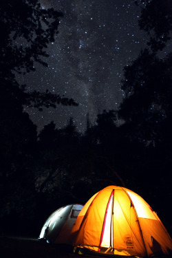 brutalgeneration:  The Nights of Kilimanjaro by ~Josslen  Perfect night out.
