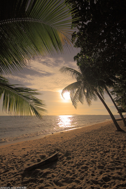 tropicaldestinations: Beach at sunset (by Ayman Alkanderi) - www.tropicaldestinations.info/  