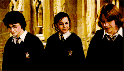 leiaorrgana:  Harry hadn’t counted on this; he had meant them to understand that