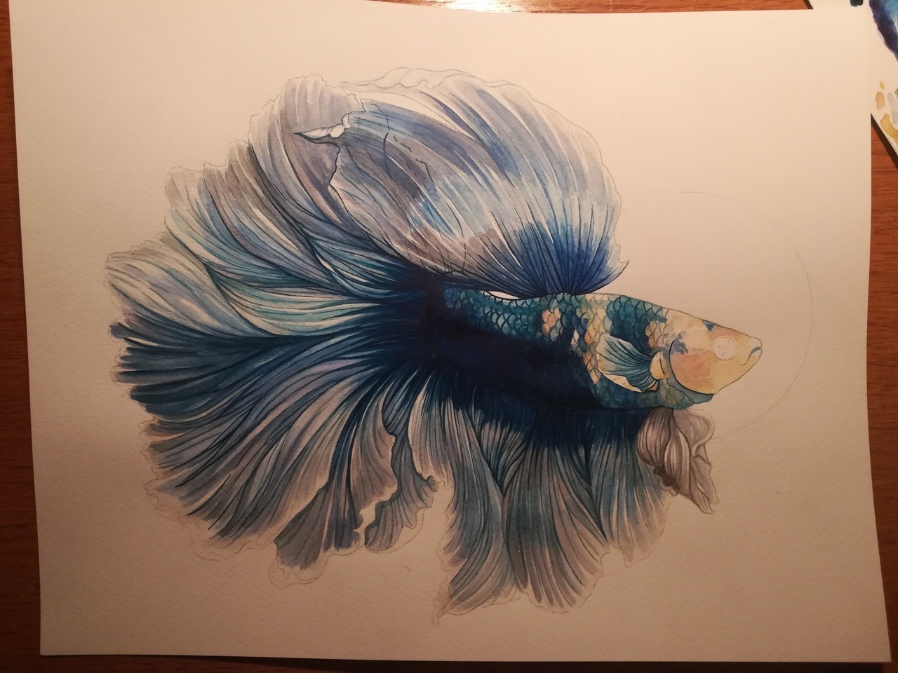 chewybitart:for Elias Buster Fox Thomas Swim in piece pretty little guy. Thank you