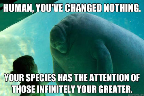 akimaru80:Manatee Effect