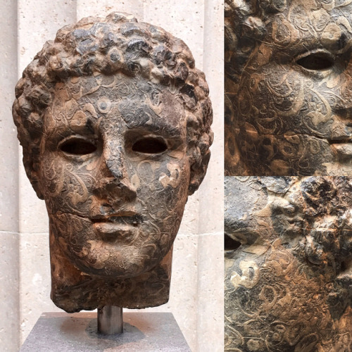 seanpburrus:This head on loan @metmuseum is made of lumachella orientale marble (N. Africa). Fossili