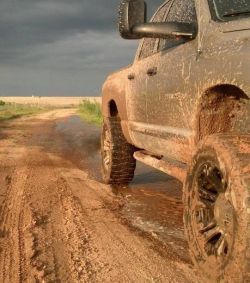 My Dirt Road Diary