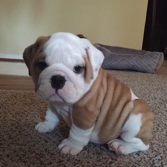 awwww! Cute!